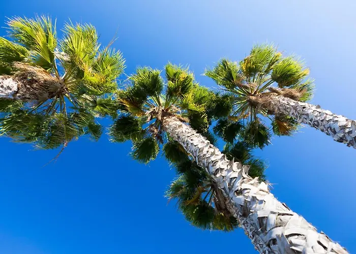 Clube Garden Village Resort