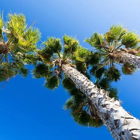 Clube Garden Village Resort